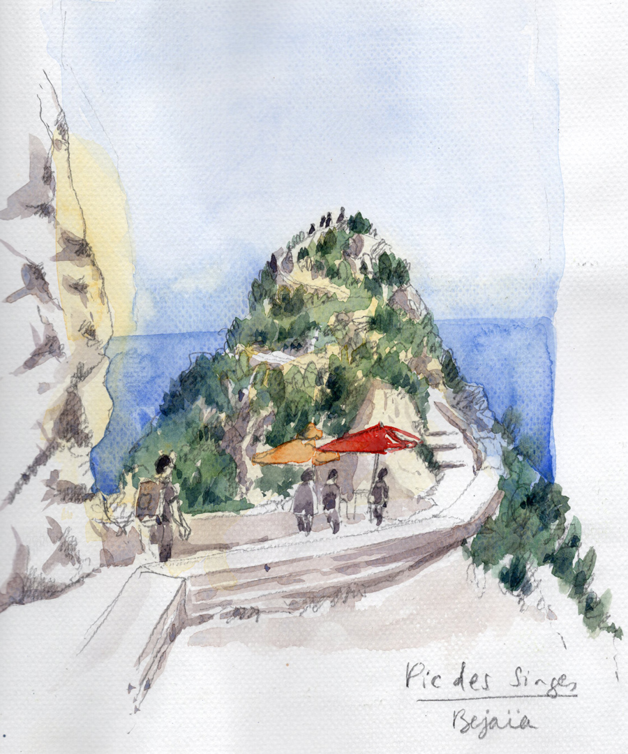 Bejaia Pic singes