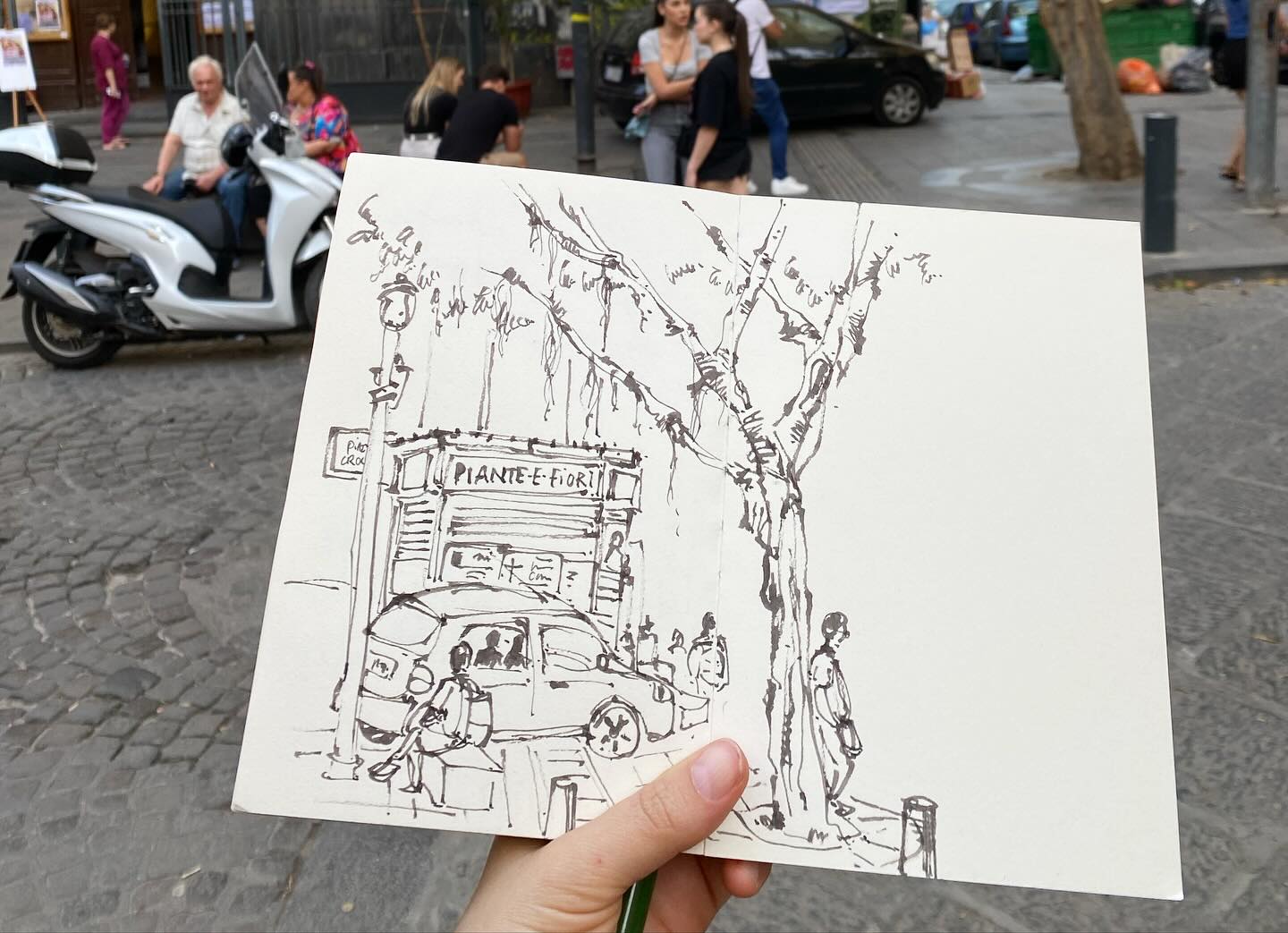 Piante e fiori sketch